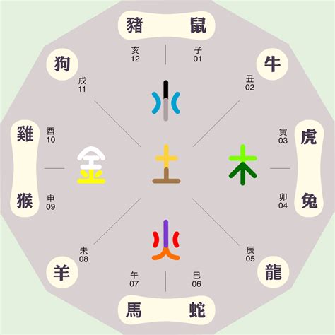 12生肖五行|十二生肖五行属性对照表